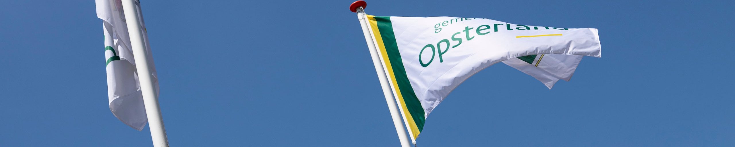 Vlaggen Opsterland