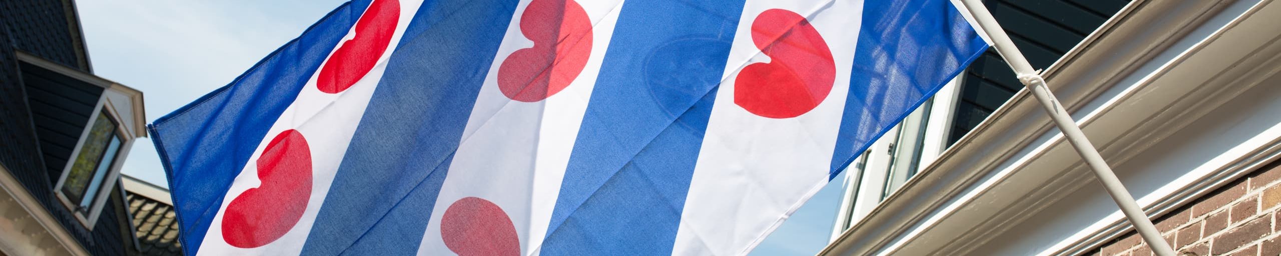 Friese vlag