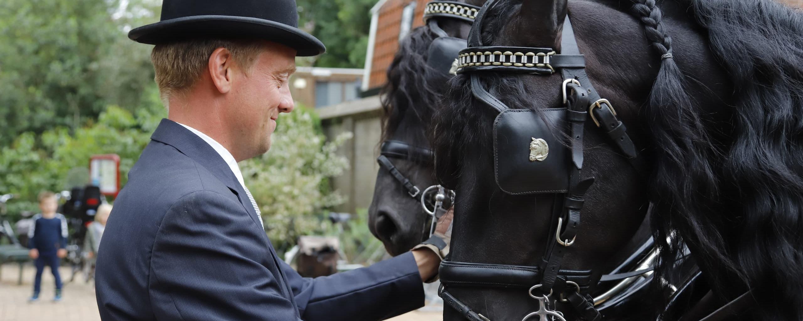 Friese paarden