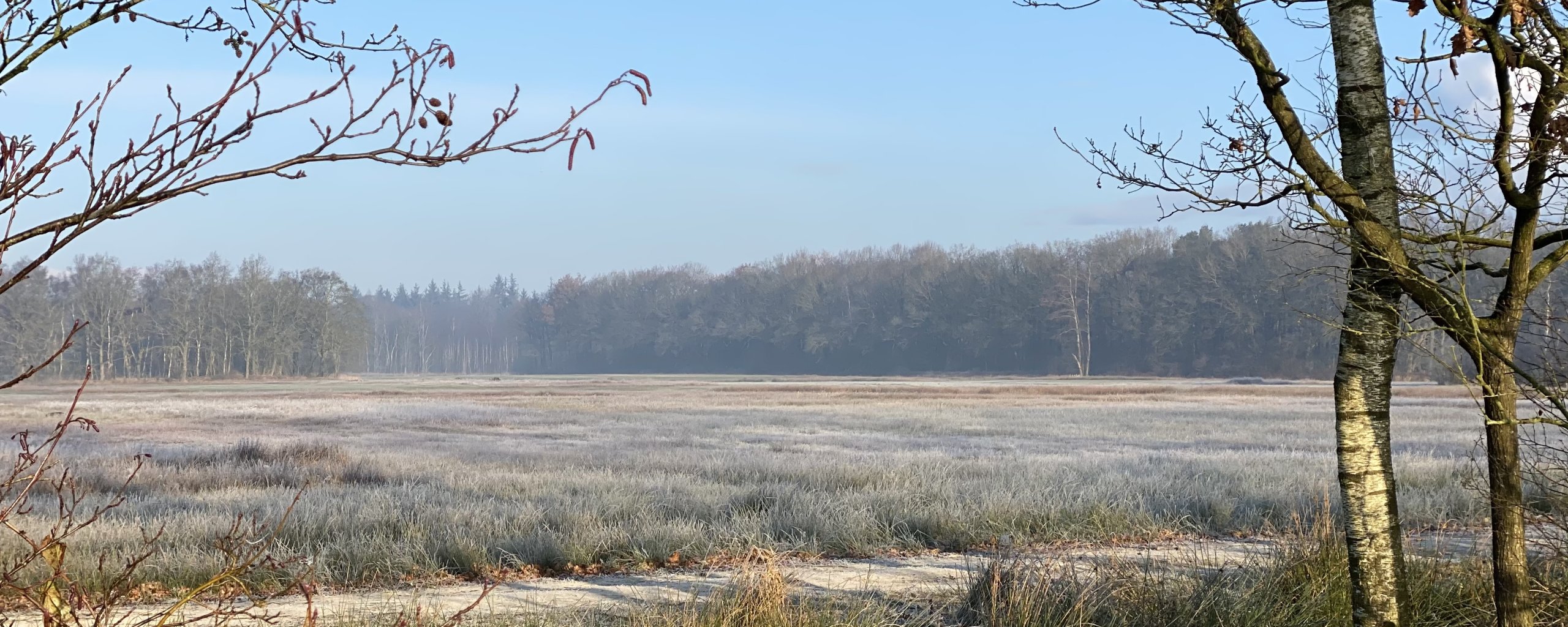 Landschap Opsterland