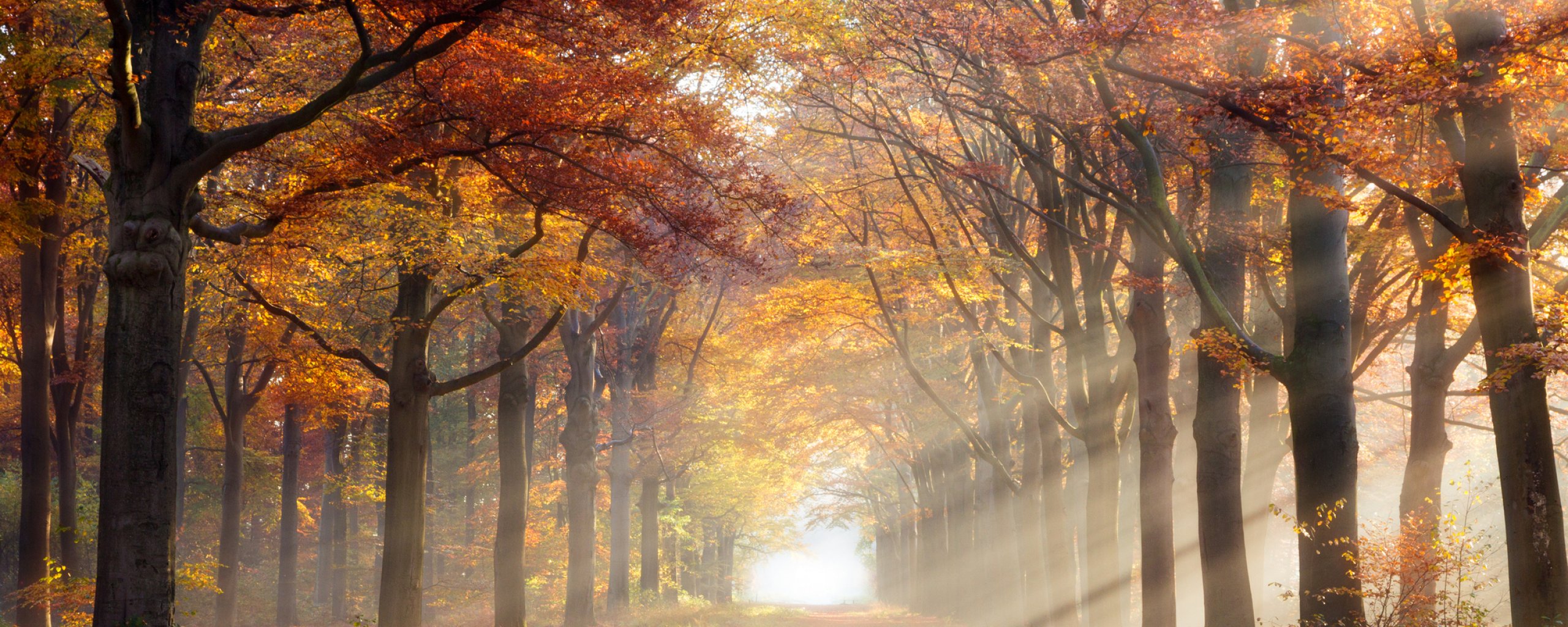 Herfst